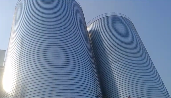 广阳2座混凝土高架卷板仓